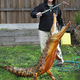 Illustration for article titled Snappy the crocodile is ready for halloween a month ahead of schedule